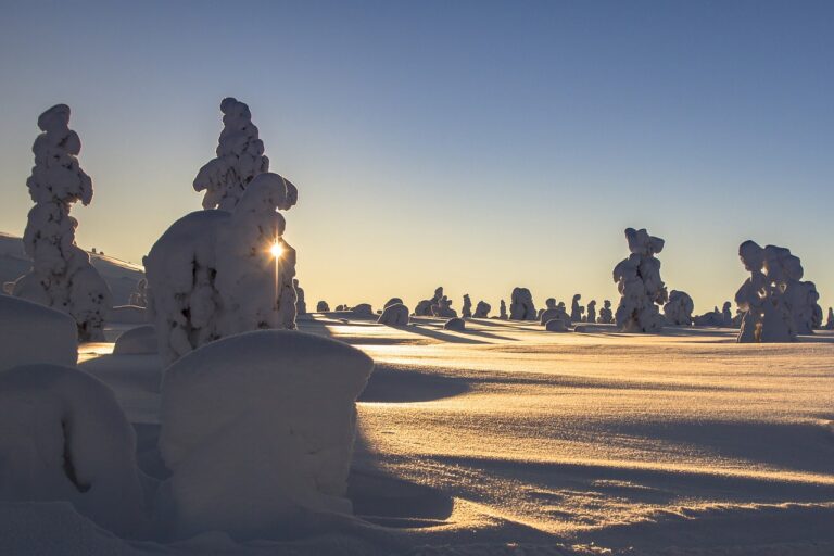 lapland, winter, snow-2984828.jpg